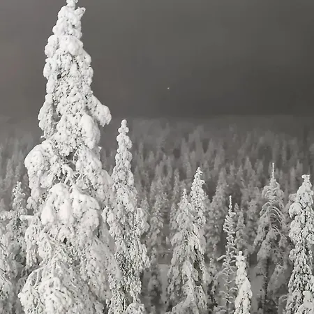 Cozy In Peaceful Area At Levi, Lapland Villa *