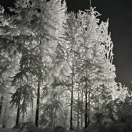 Cozy In Peaceful Area At Levi, Lapland Levi